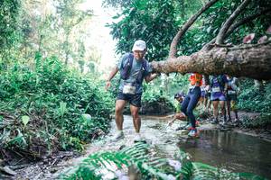 BIB: 
                            <button type="button" onclick="openModal(25444364)" class="btn btn-primary btn-sm float-right btn-popup" data-toggle="modal" data-target=".modal-high-quality">
                        <i class="fas fa-shopping-cart"></i> Add to Cart
                    </button>
                                            <button type="button" onclick="isThisMe(25444364, true)" class="btn btn-success btn-sm float-right btn-popup btn-isme hidden" data-toggle="tooltip" data-placement="bottom" title="นี่คือรูปของคุณใช่ไหม คลิกที่นี่เพื่อเอาเข้าอัลบั้ม">
                        <i class="fas fa-plus"></i> Add to album
                    </button>
                    <button type="button" onclick="isThisMe(25444364, false)" class="btn btn-warning btn-sm float-right btn-popup btn-isnotme hidden">
                        <i class="fas fa-ban"></i> Remove from album
                    </button>